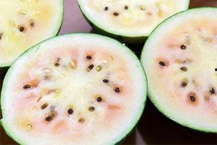 吃瓜群众的瓜是西瓜还是瓜子,西瓜与瓜子的甜蜜对决