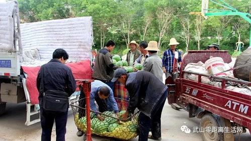 桥沟路吃瓜群众,吃瓜群众的欢乐盛宴
