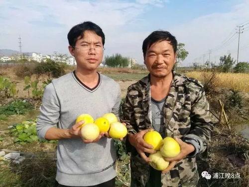 吃瓜群众襄垣,揭秘当地热点事件背后的真相