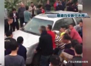 吃瓜群众合力救人视频播放,瓜民合力演绎感人救援瞬间