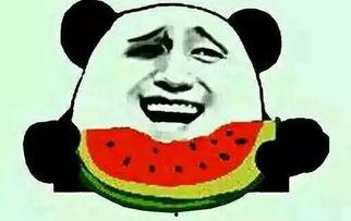 12点吃瓜群众,吃瓜群众的狂欢时刻