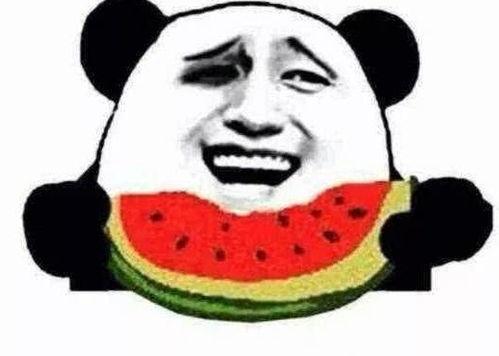 吃瓜群众瓜哥搞笑动画,笑料横生，瓜界风云再起