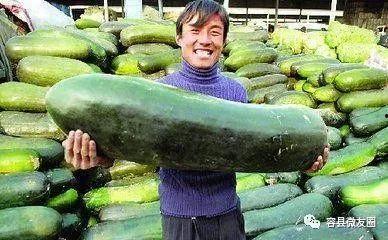 吃瓜群众夏冰雹,吃瓜群众的趣味生活剪影