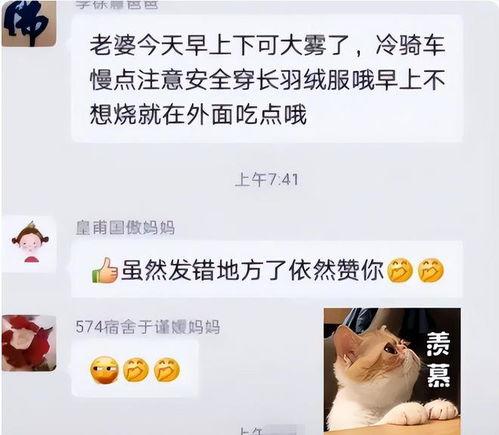 吃瓜群众头发凌乱版本,揭秘娱乐圈幕后风云