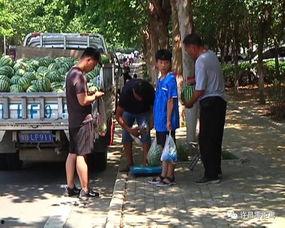 三台吃瓜群众事迹简介,见证时代变迁的民间传奇