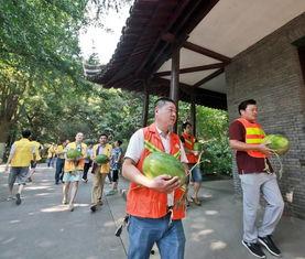 三台吃瓜群众事迹简介,见证时代变迁的民间传奇