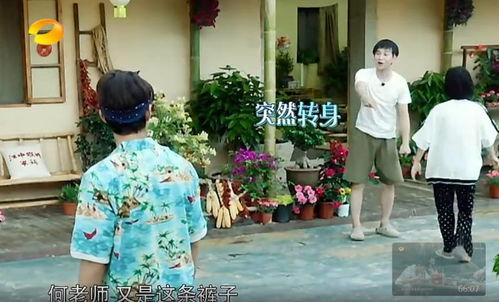 义乌吃瓜群众事件真相,真相揭秘与反思