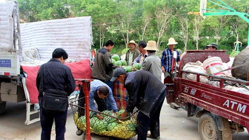 吃瓜群众岱岱996,揭秘网络红人的幕后生活