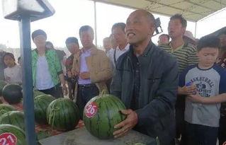 吃瓜群众岱岱996,揭秘网络红人的幕后生活