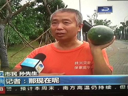 吃瓜群众的热门事件,XX事件背后的真相与反思