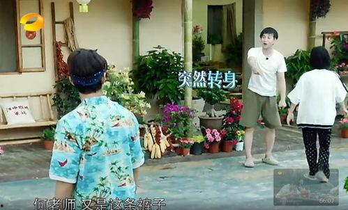 武德吃瓜群众事件真相,揭秘背后真相与争议