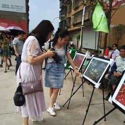 娄底吃瓜群众事件,网络舆论漩涡中的社会现象剖析