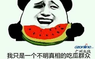 不错的吃瓜群众是什么意思,网络热词背后的社会现象