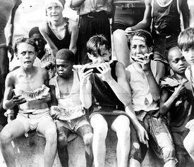 好奇的吃瓜群众图片,揭秘好奇吃瓜群众背后的故事