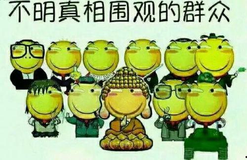 吃瓜群众小黄人视频,趣味视频揭秘瓜界风云