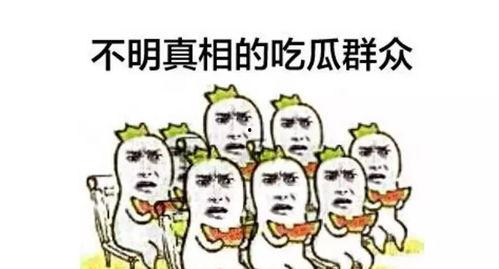 热心吃瓜群众李叔,热心吃瓜群众,揭秘娱乐圈幕后风云