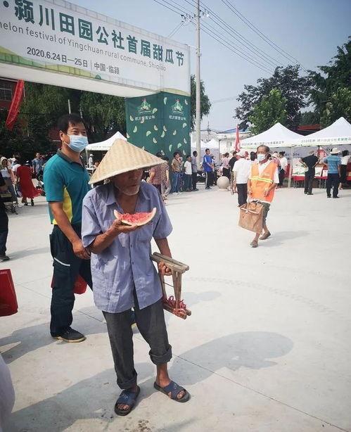 河南吃瓜群众,见证时代变迁的民间观察者