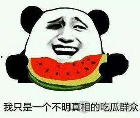 怎么优雅说吃瓜群众,以优雅姿态围观世间百态