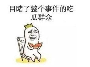 疯狂的吃瓜群众,揭秘网络舆论场的狂欢与反思