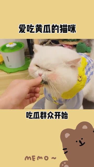 吃瓜群众图片手机壁纸高清,高清手机壁纸中的吃瓜群众众生相